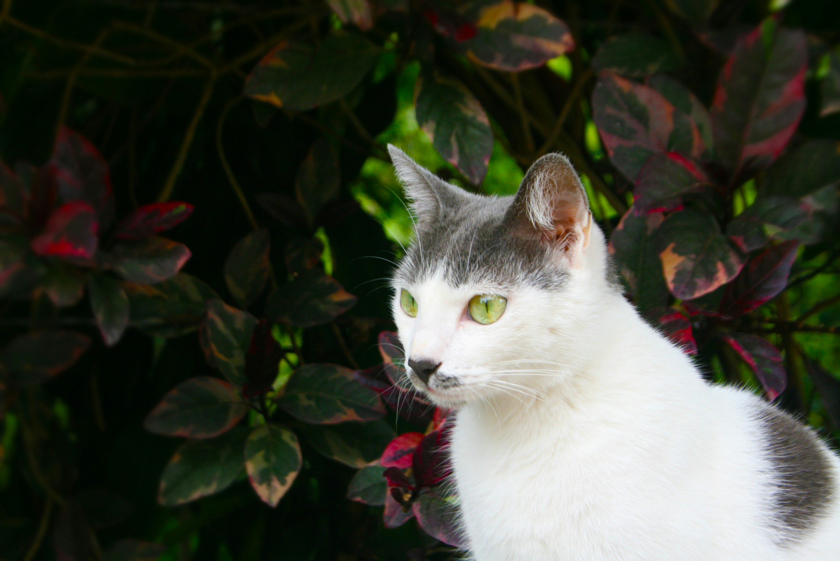 Photo by karollsoto0219