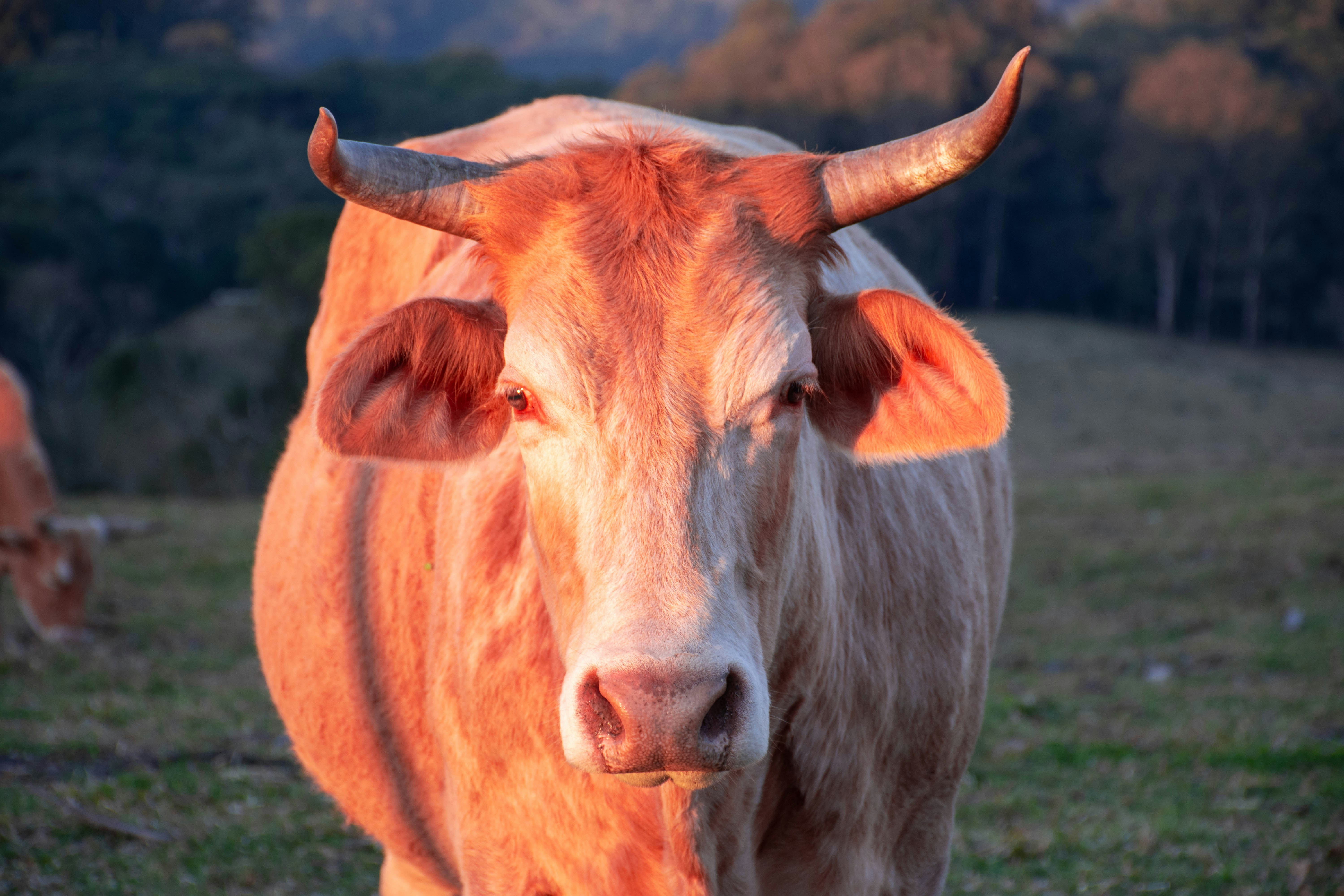 Photo by lucasgwendt