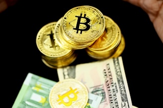 gold and silver round coins