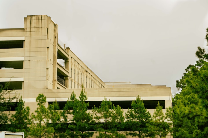 M D Anderson Cancer Center University of Texas