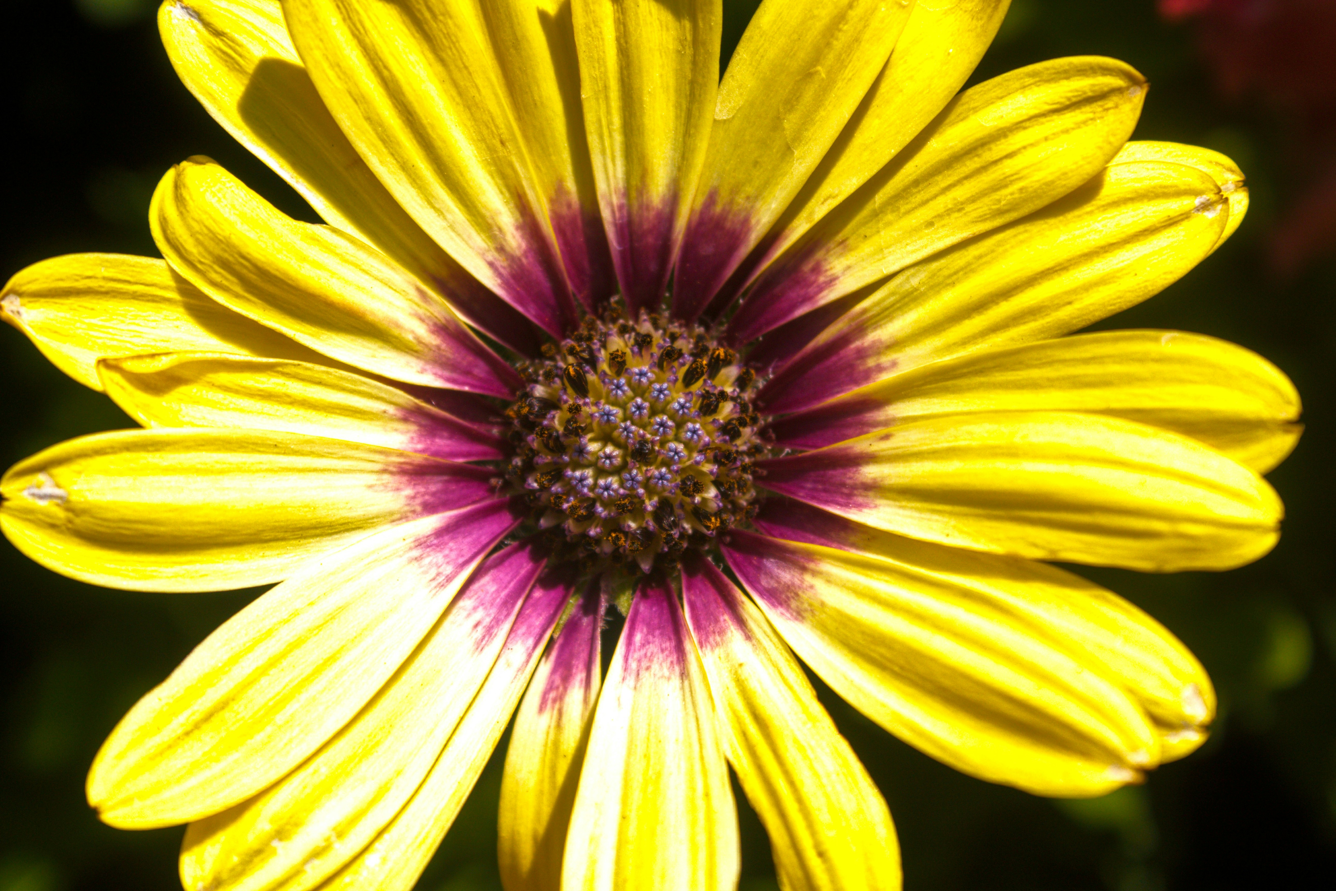 Photo by joshua_hoehne