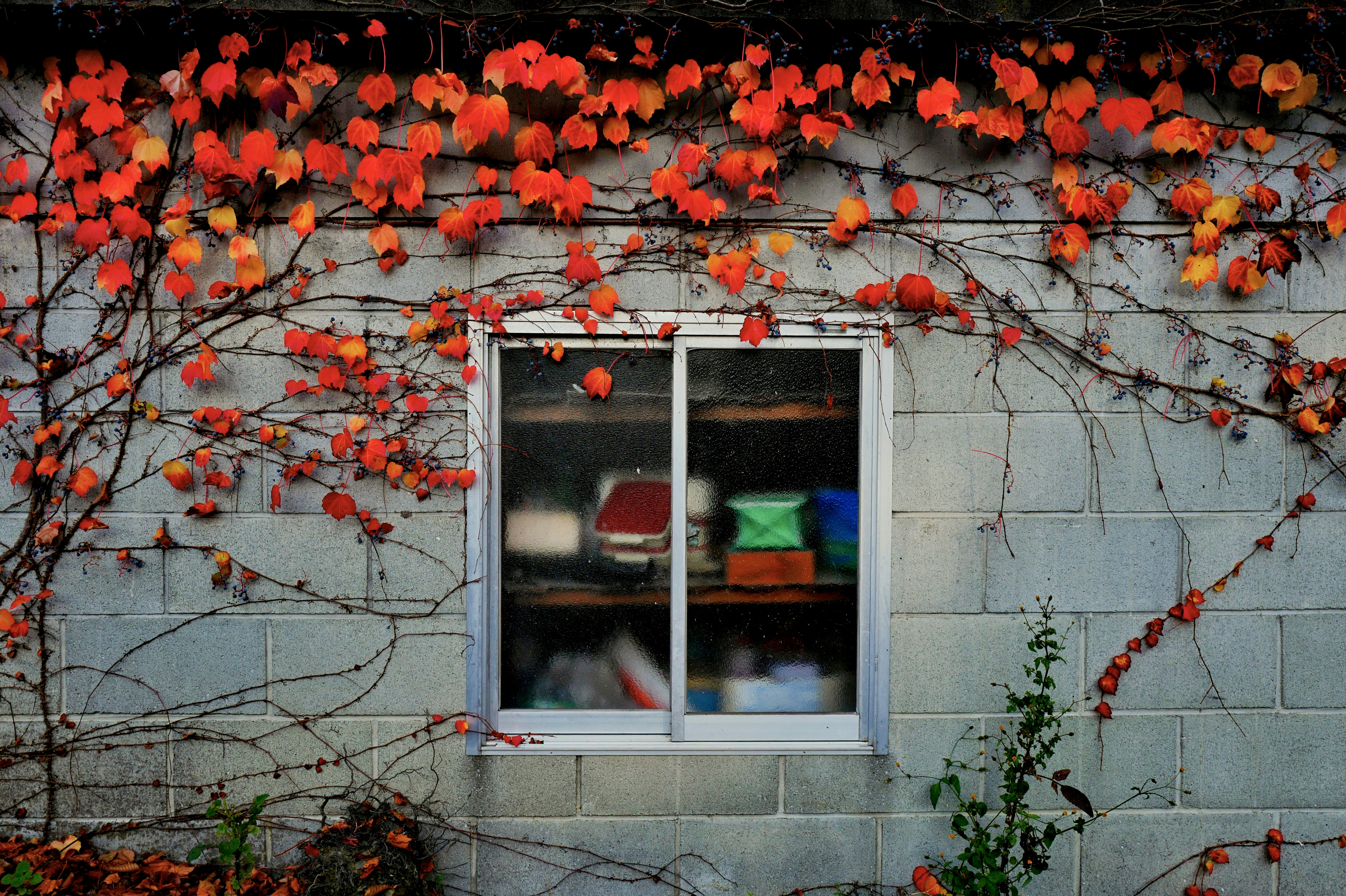white wooden framed glass window