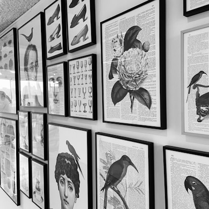 A collection of framed black-and-white illustrations and prints on a wall, including shoes, birds, floral designs, and abstract portraits. The artwork is diverse, featuring various styles and subjects, all mounted in matching black frames against a light-colored wall.