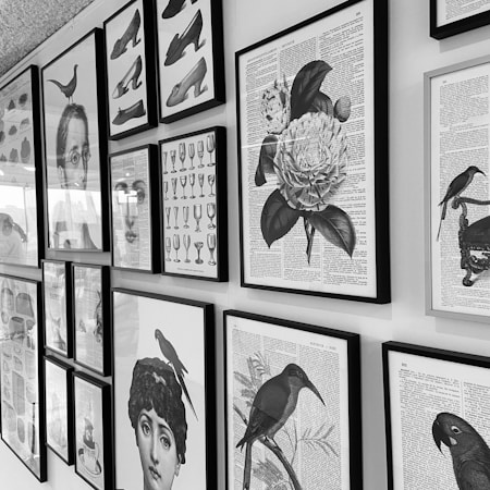 A collection of framed black-and-white illustrations and prints on a wall, including shoes, birds, floral designs, and abstract portraits. The artwork is diverse, featuring various styles and subjects, all mounted in matching black frames against a light-colored wall.