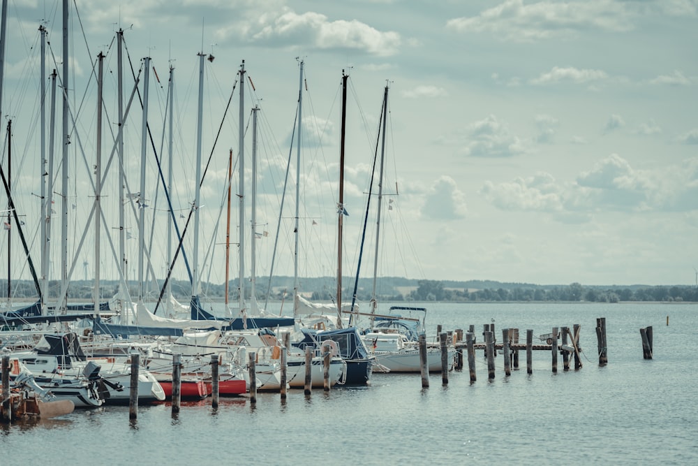 white and blue boats on sea during daytime