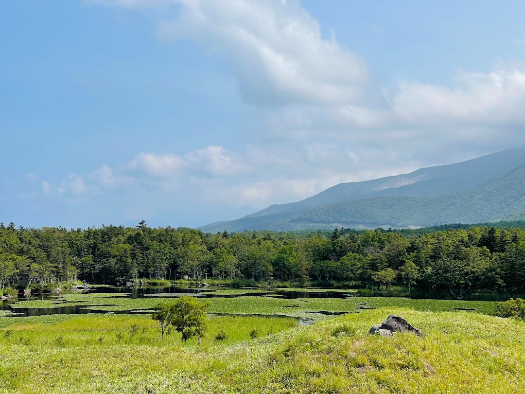 green grass field near green trees and mountain under white clouds and blue sky during daytime