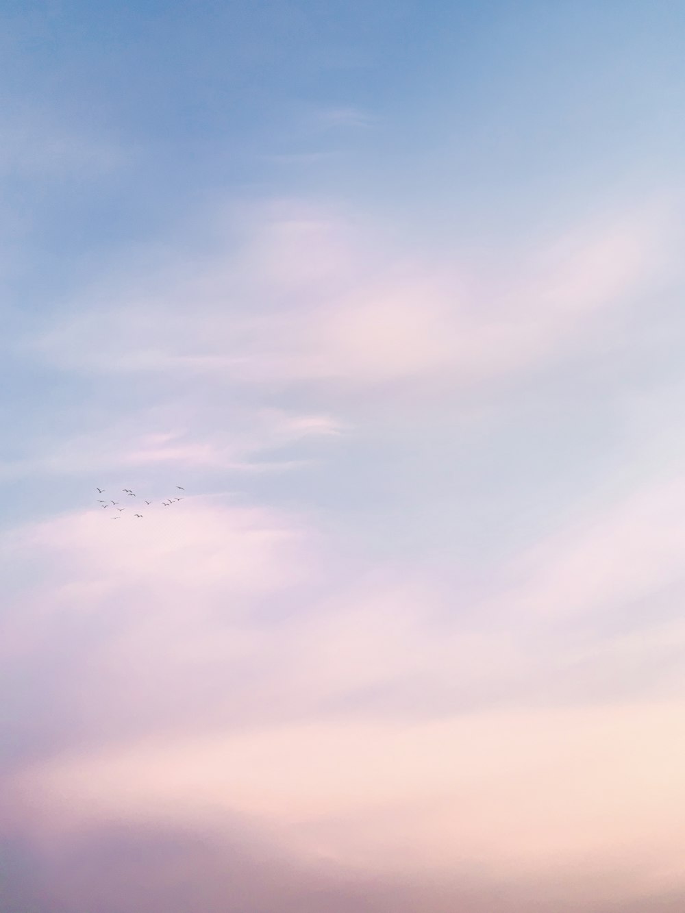 flock of birds flying under cloudy sky during daytime