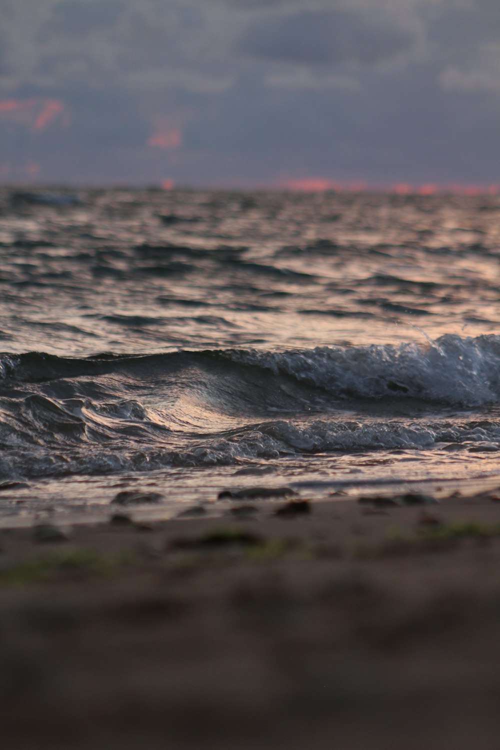 Wasserwellen auf braunem Sand tagsüber