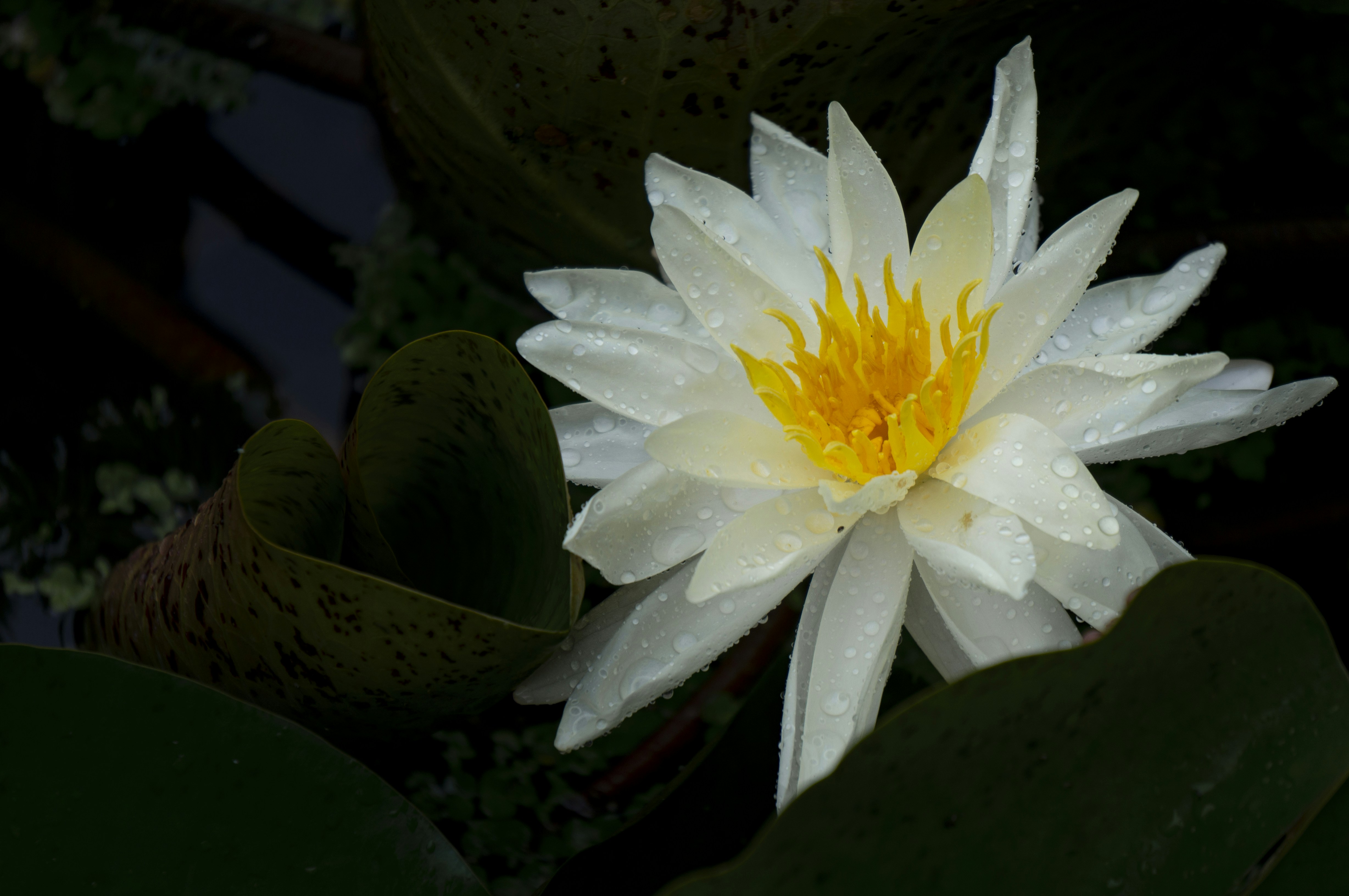 Photo by minecraftinventor