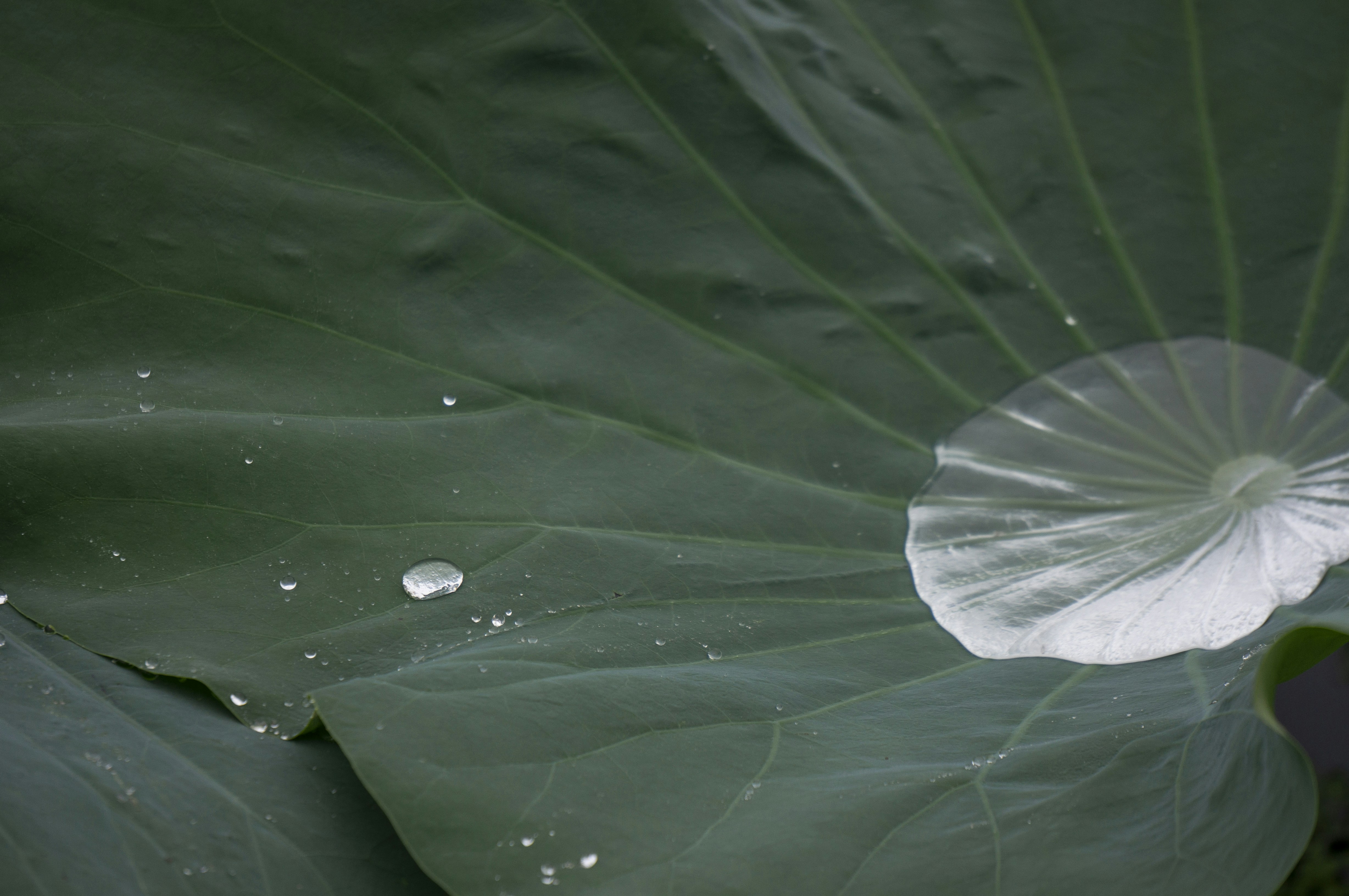 Photo by minecraftinventor