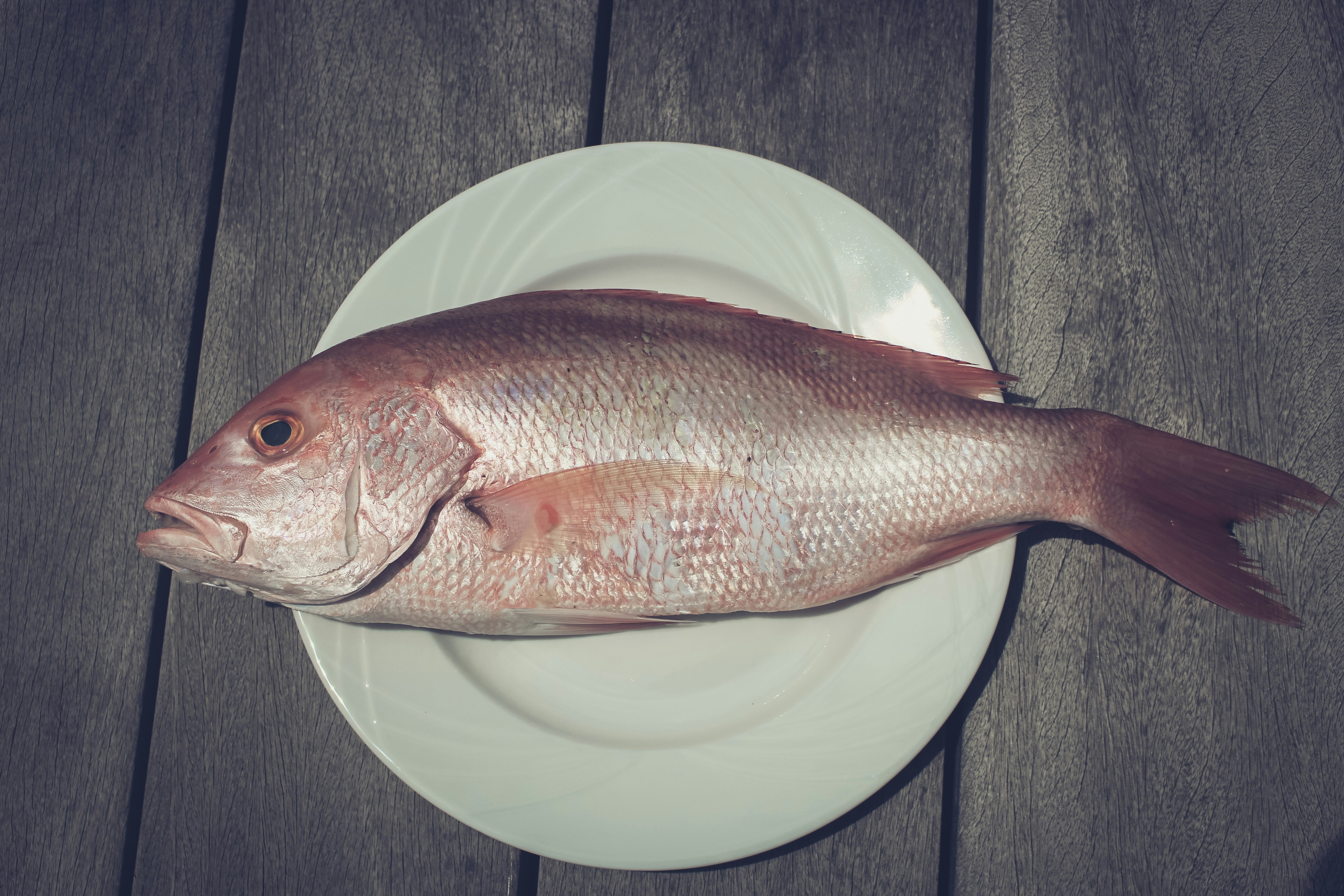 Tambaqui Fresco e Saboroso