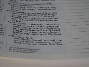 A close-up image of a page from a book with text formatted in verses, similar to a biblical or historical text. The text appears to be organized in numbered sections with a column on the left for reference. The focus is on the middle of the page, with text discussing familial lineages and names.