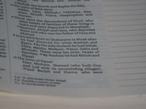 A close-up image of a page from a book with text formatted in verses, similar to a biblical or historical text. The text appears to be organized in numbered sections with a column on the left for reference. The focus is on the middle of the page, with text discussing familial lineages and names.