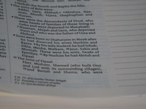 A close-up image of a page from a book with text formatted in verses, similar to a biblical or historical text. The text appears to be organized in numbered sections with a column on the left for reference. The focus is on the middle of the page, with text discussing familial lineages and names.