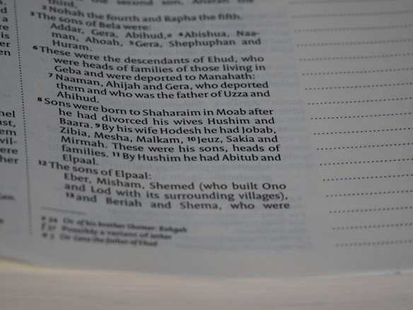 A close-up image of a page from a book with text formatted in verses, similar to a biblical or historical text. The text appears to be organized in numbered sections with a column on the left for reference. The focus is on the middle of the page, with text discussing familial lineages and names.