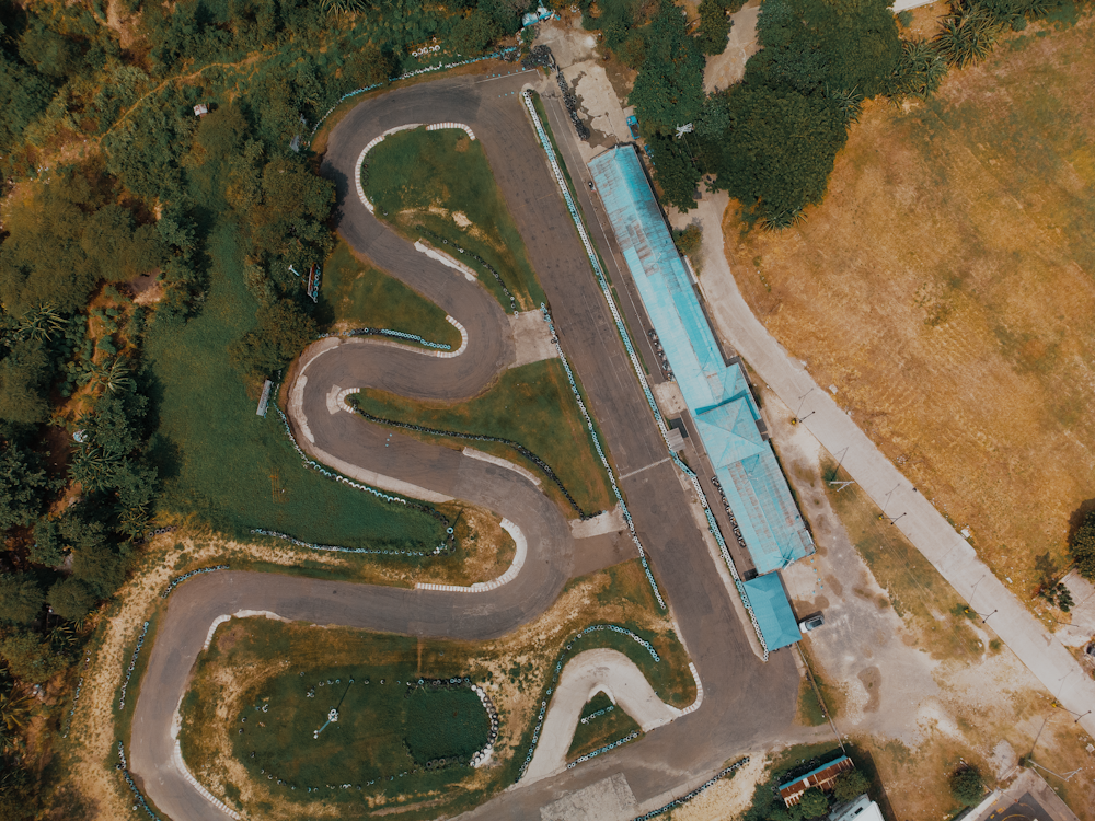 aerial view of green trees and road