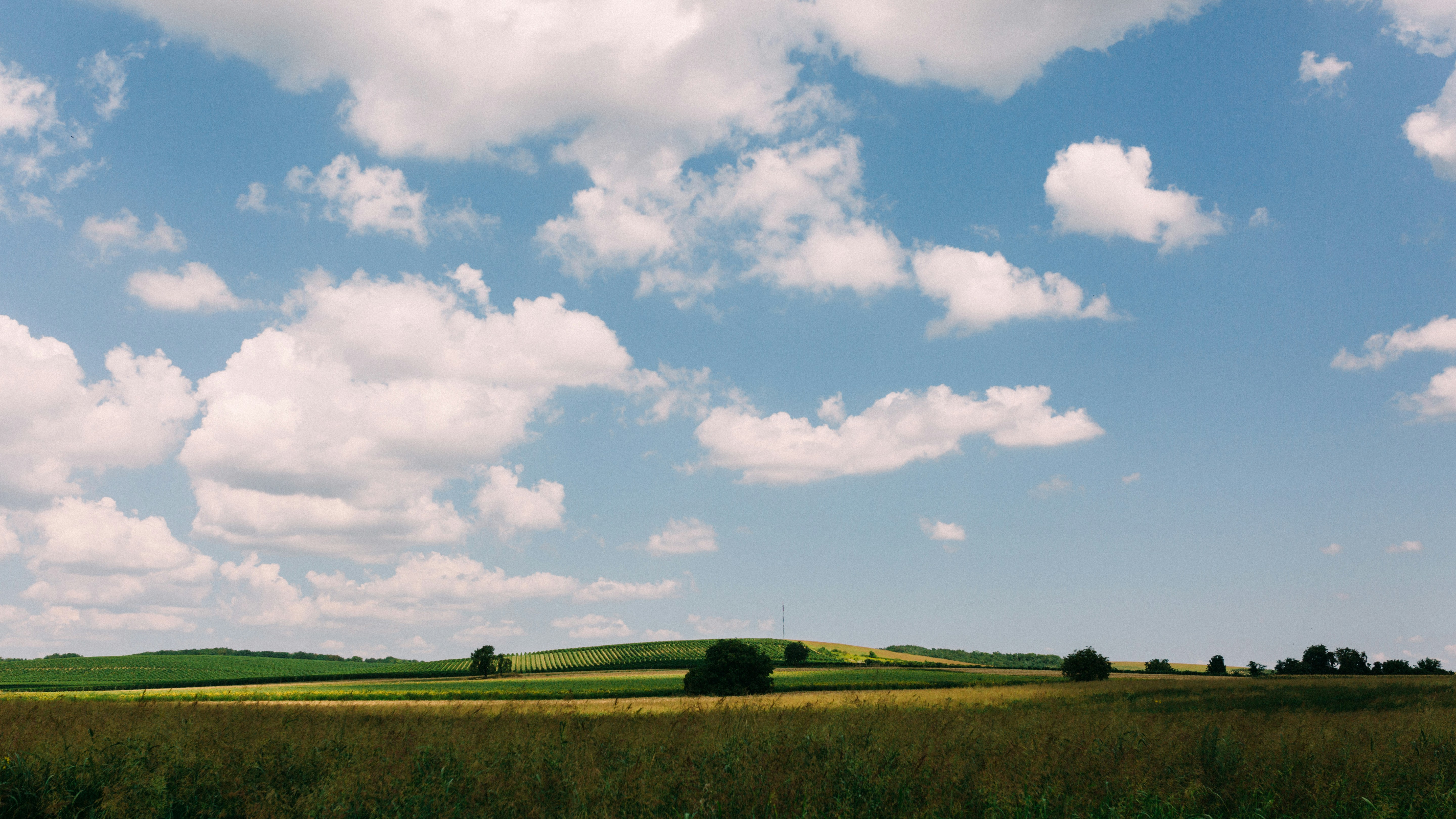 Photo by darkindigo88