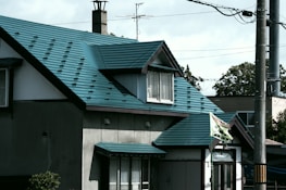 A residential house with a distinctive blue-green metal roof. The structure includes multiple stories and windows, with visible chimneys and a flag attached to the side. Overhead cables and poles are present in the foreground, adding a suburban or urban feel to the scene. The lighting suggests late afternoon with shadows cast on the walls.