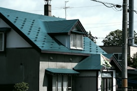 A residential house with a distinctive blue-green metal roof. The structure includes multiple stories and windows, with visible chimneys and a flag attached to the side. Overhead cables and poles are present in the foreground, adding a suburban or urban feel to the scene. The lighting suggests late afternoon with shadows cast on the walls.