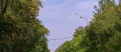 Close-up of a paved road flanked by streetlights and young trees in a commercial plot layout.