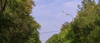 A freshly paved road cutting through a developing neighborhood under a bright blue sky.