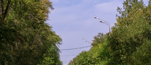 A freshly paved road surrounded by new sidewalks and streetlights under a clear sky.