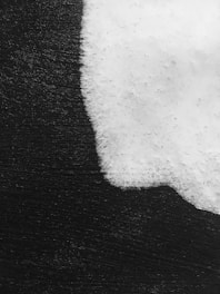 A high-contrast image featuring a textured surface with a distinct division between a smooth black area and a fuzzy, white section that appears to have a soft texture.