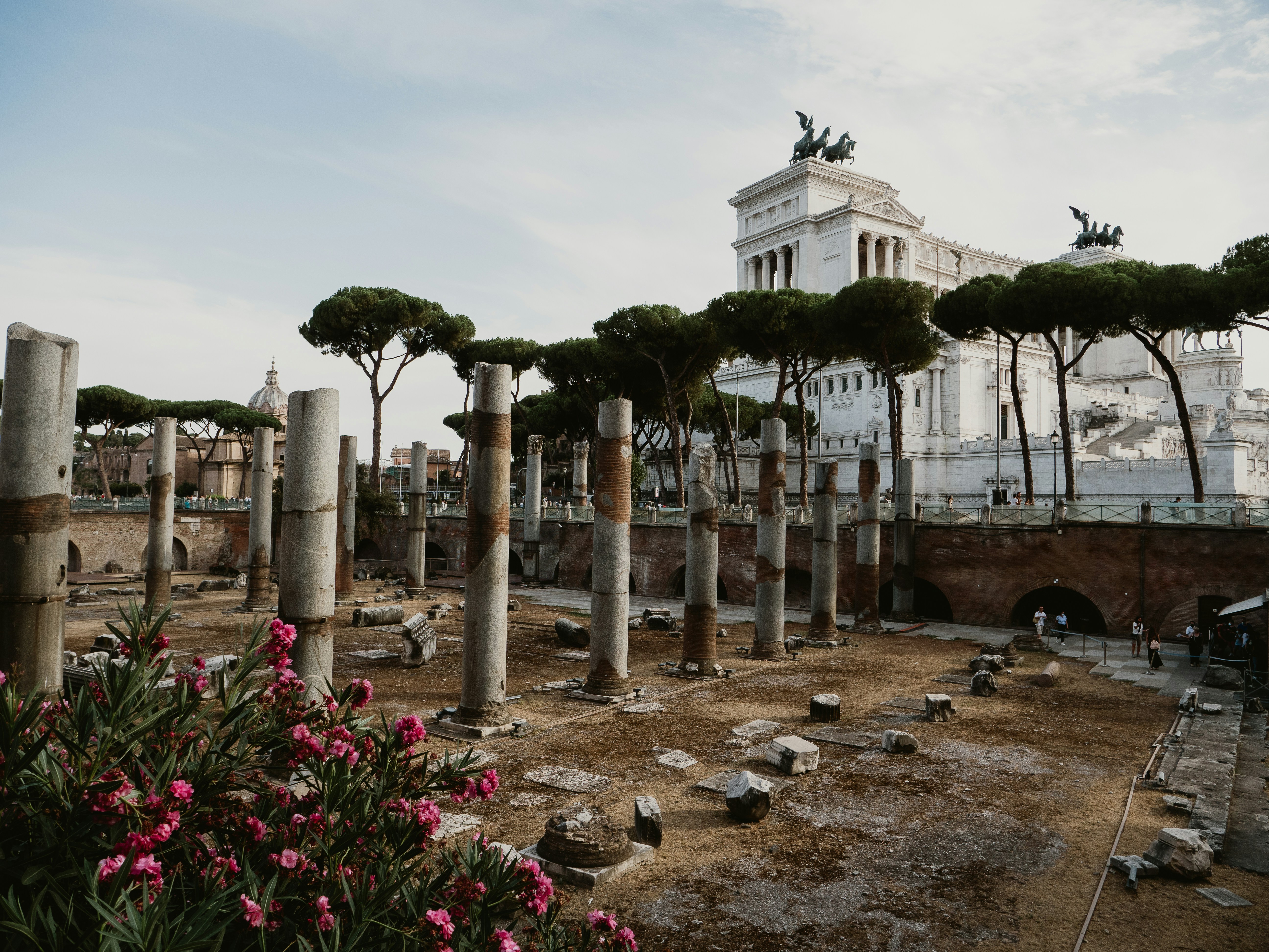 昼間は緑の木々のそばに白いコンクリートの建物