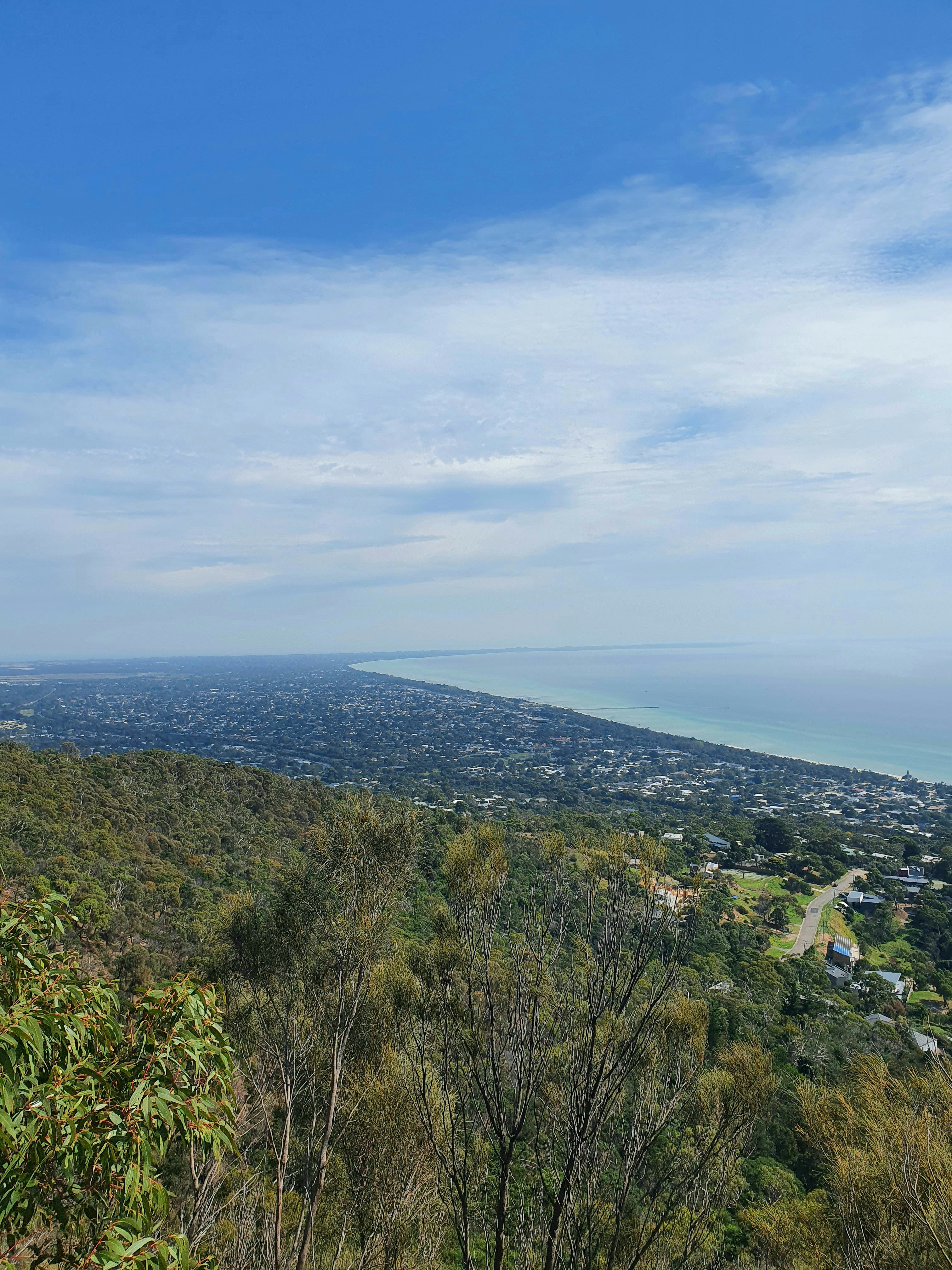 Photo by olivia_hibbins