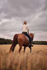 A rider gracefully guiding a horse across a lush green field under a clear blue sky.
