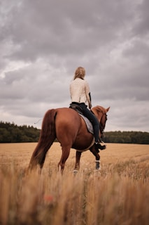 A horseback rider pausing to admire the serene oasis scenery under a clear blue sky.