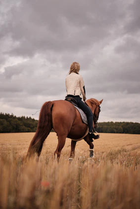 A rider gracefully guiding a horse across a lush green field under a clear blue sky.