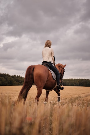 Elegant rider in noble gallop attire gracefully guiding a horse through a verdant field at sunset.