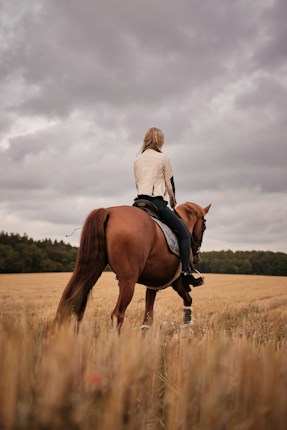 A person on horseback traverses a golden field beneath a cloudy sky, creating a serene and contemplative scene. The rider is clad in a light jacket and dark pants, seated on a brown horse. The surrounding landscape stretches into the distance with a line of trees at the horizon.