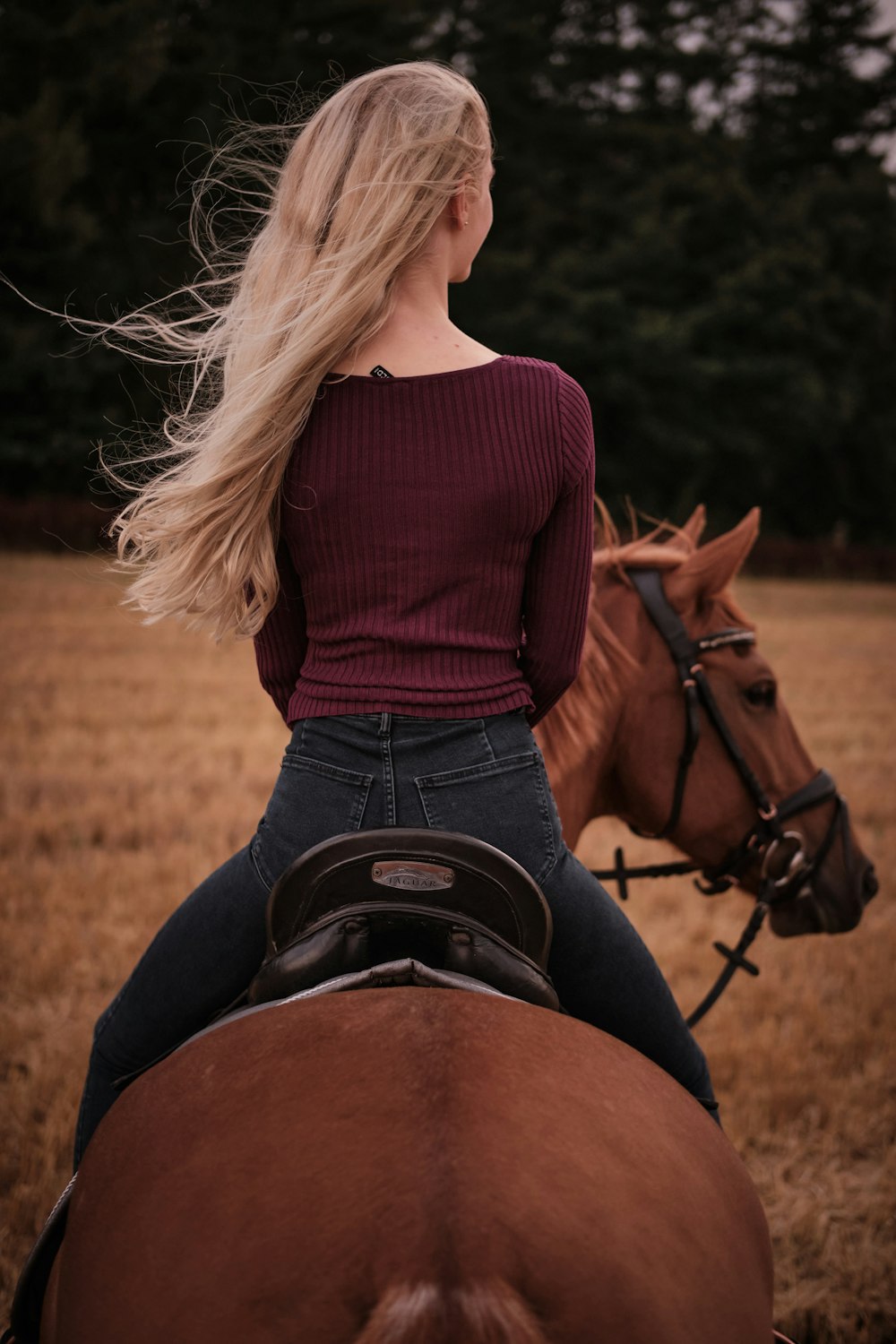 赤い長袖シャツと青いデニムのデイジーデュークを着た女性が茶色の馬の上に座っている
