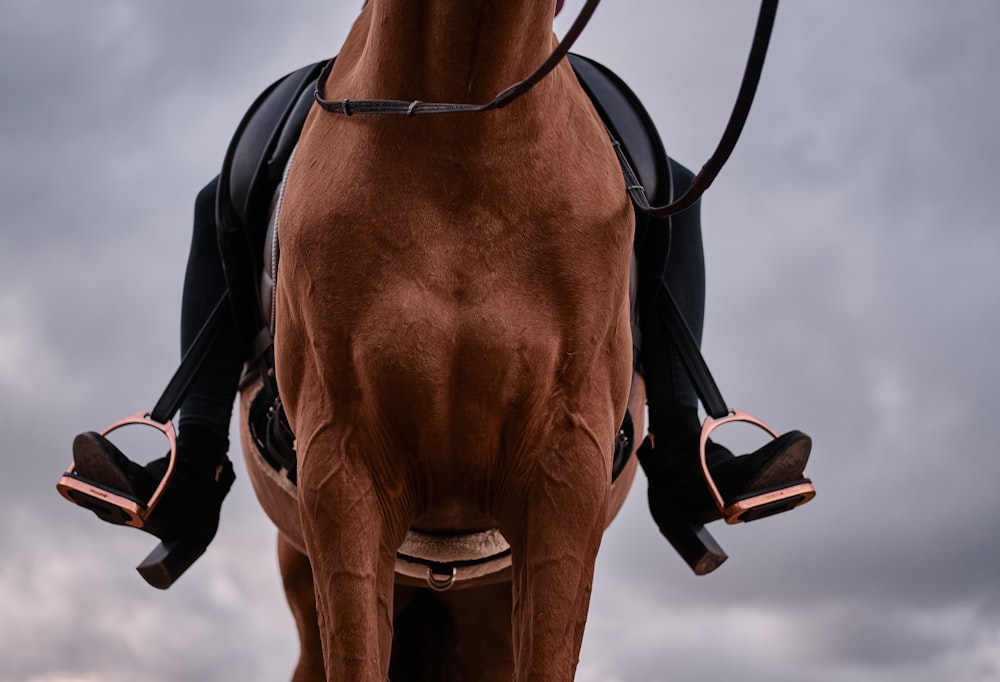 cheval marron avec selle en cuir noir