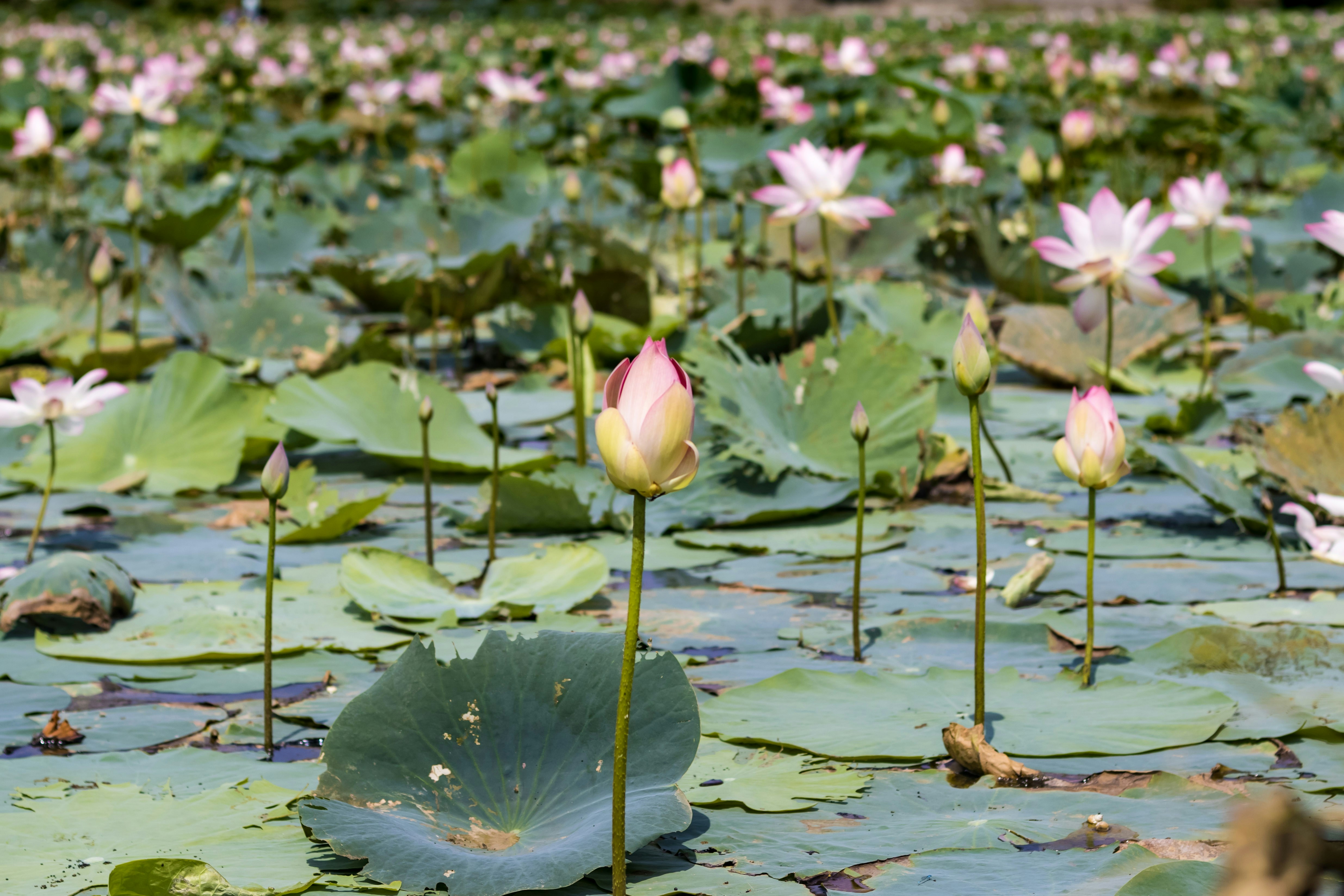 Photo by vdphotography