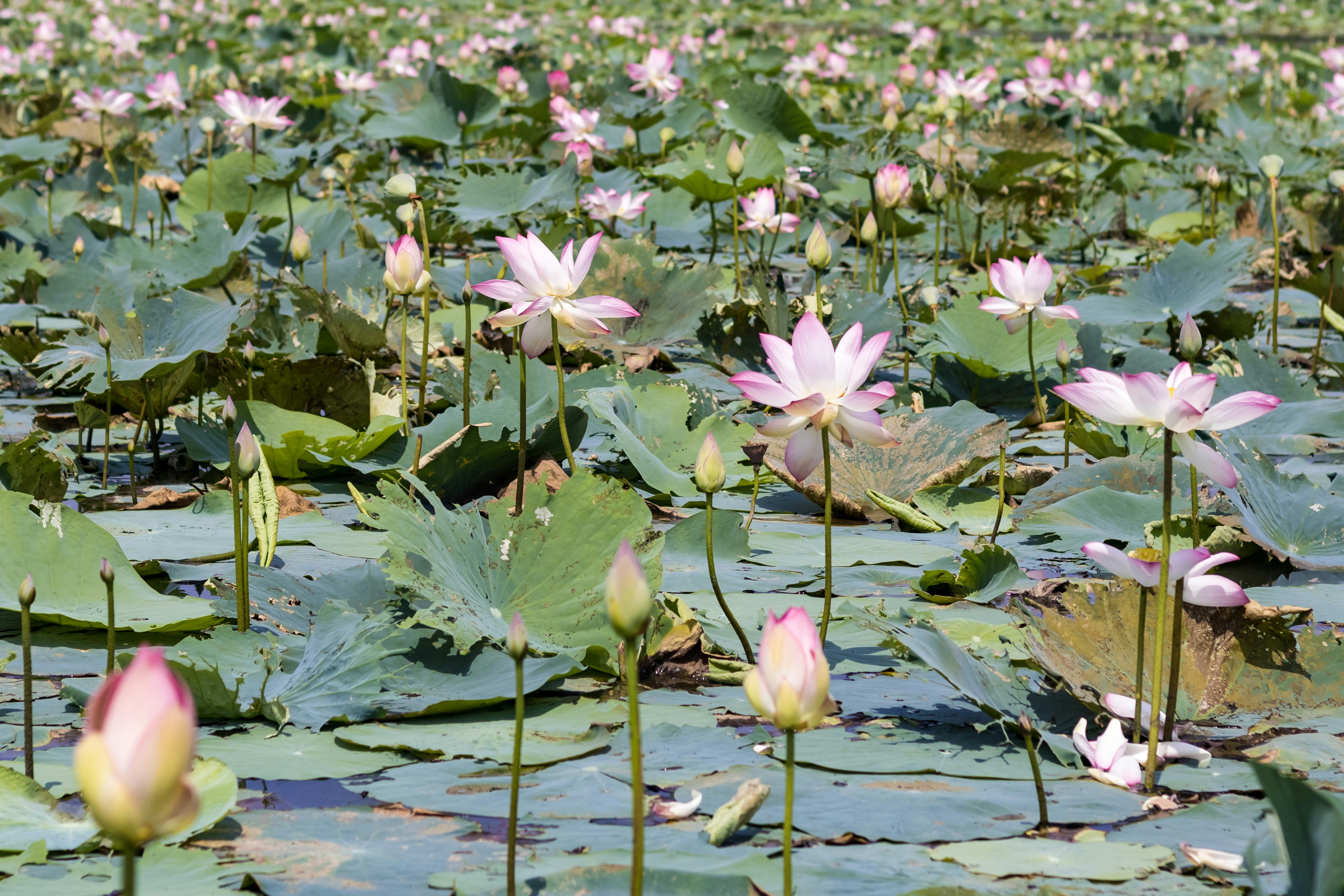 Photo by vdphotography