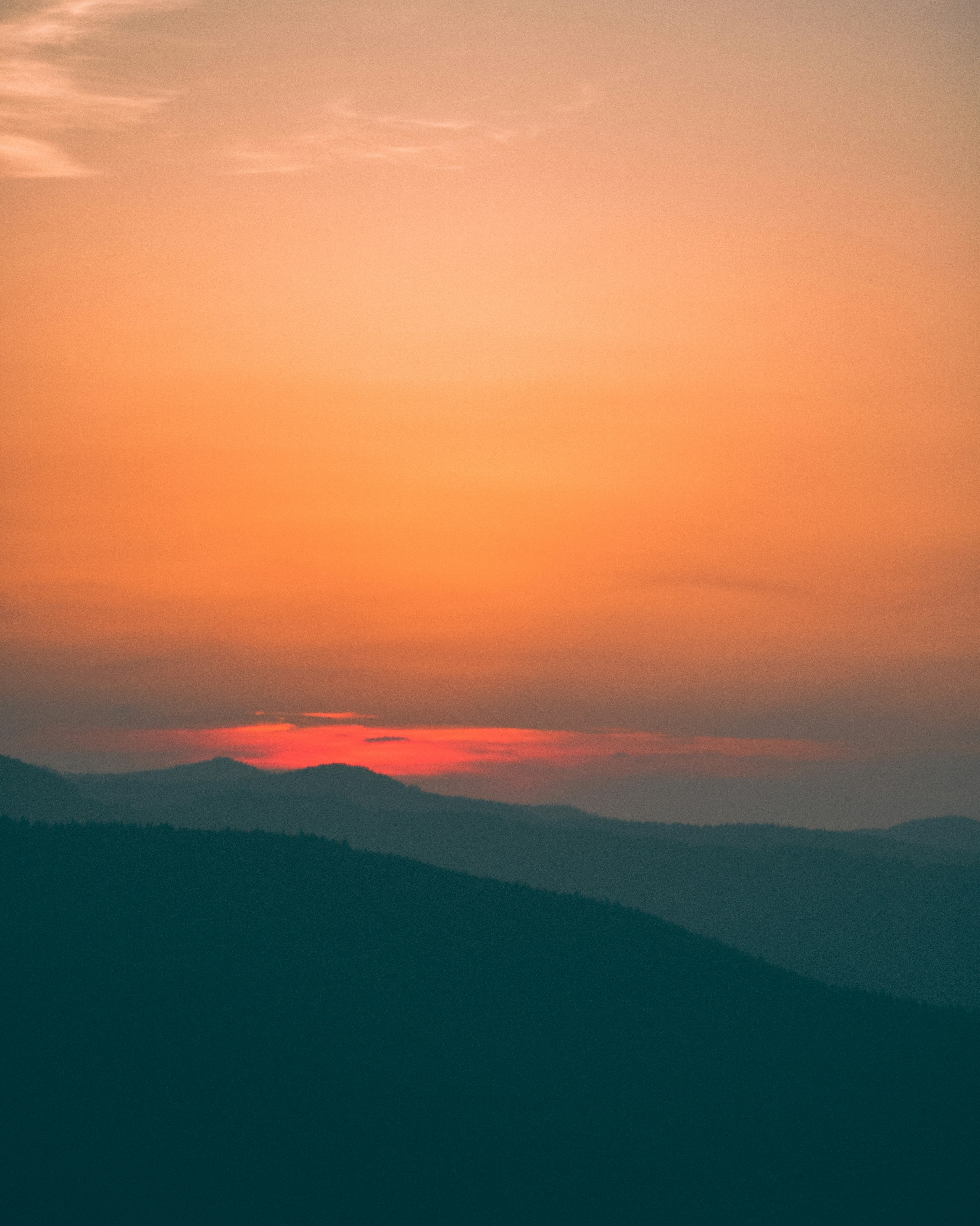 Photo by vmelnechenko