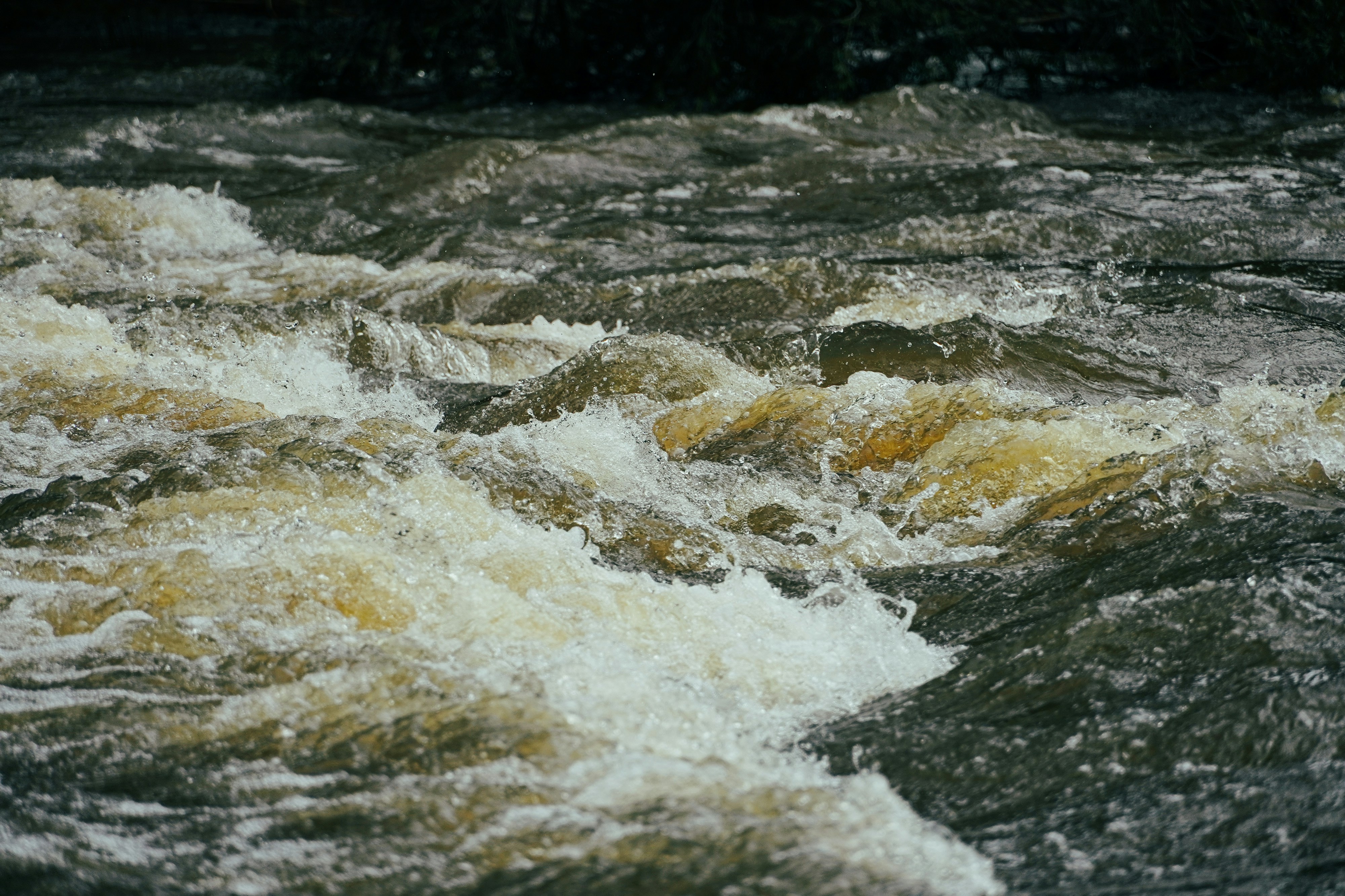 Kovaco Biomedical Consulting Inc.'s image