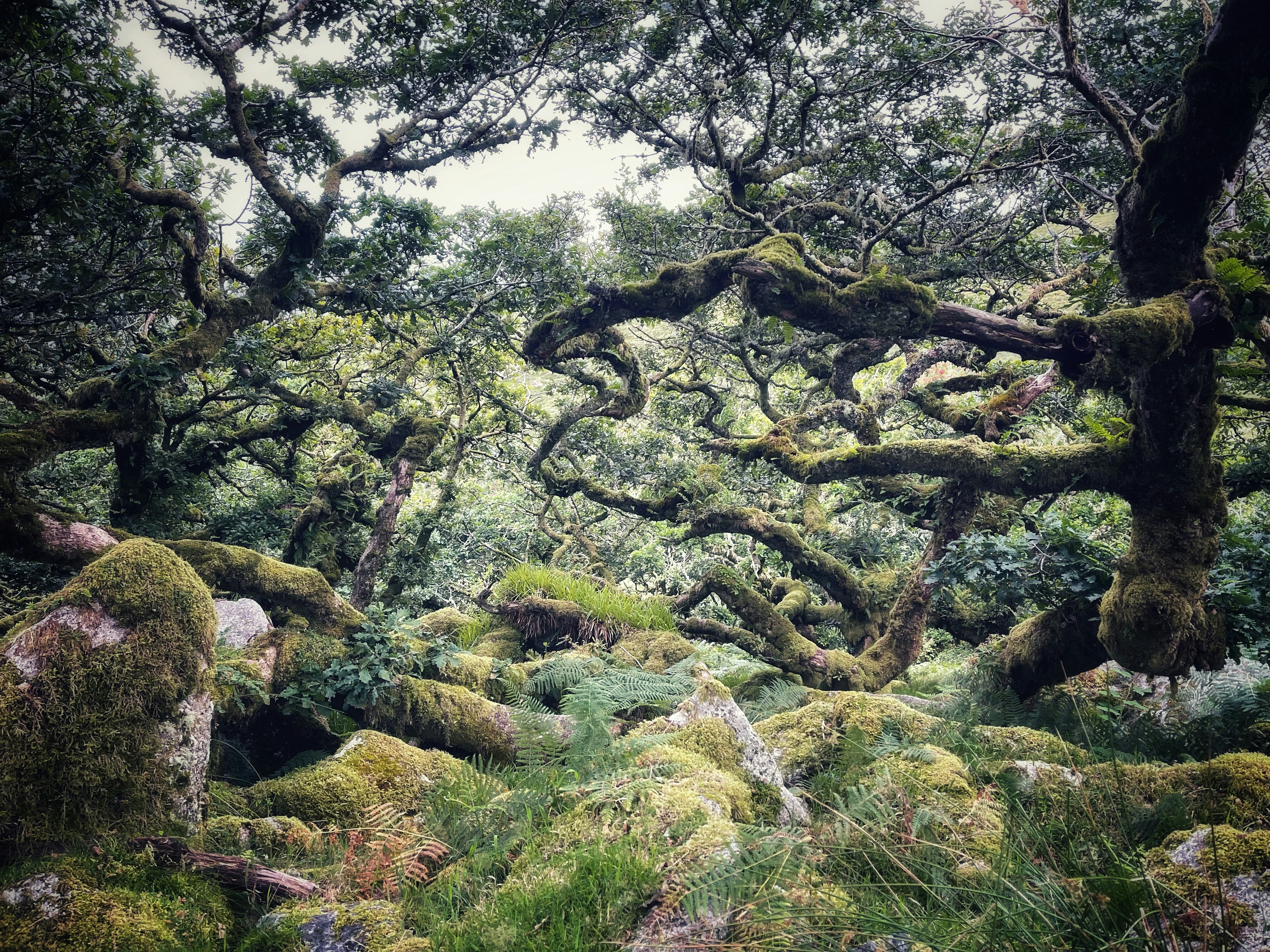 Photo by tomasrobertson