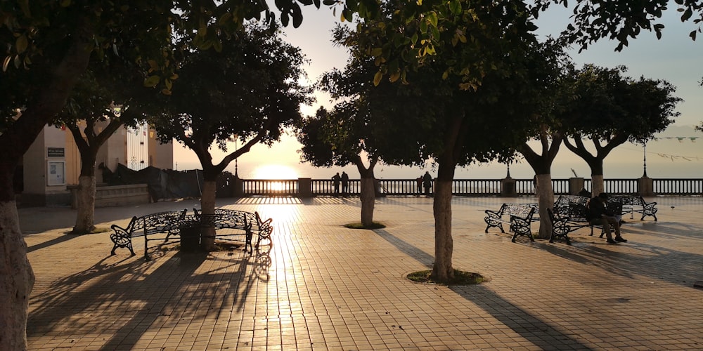 silhouette of bench near body of water during sunset