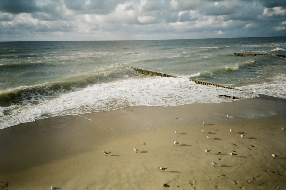 sea waves crashing on shore during daytime