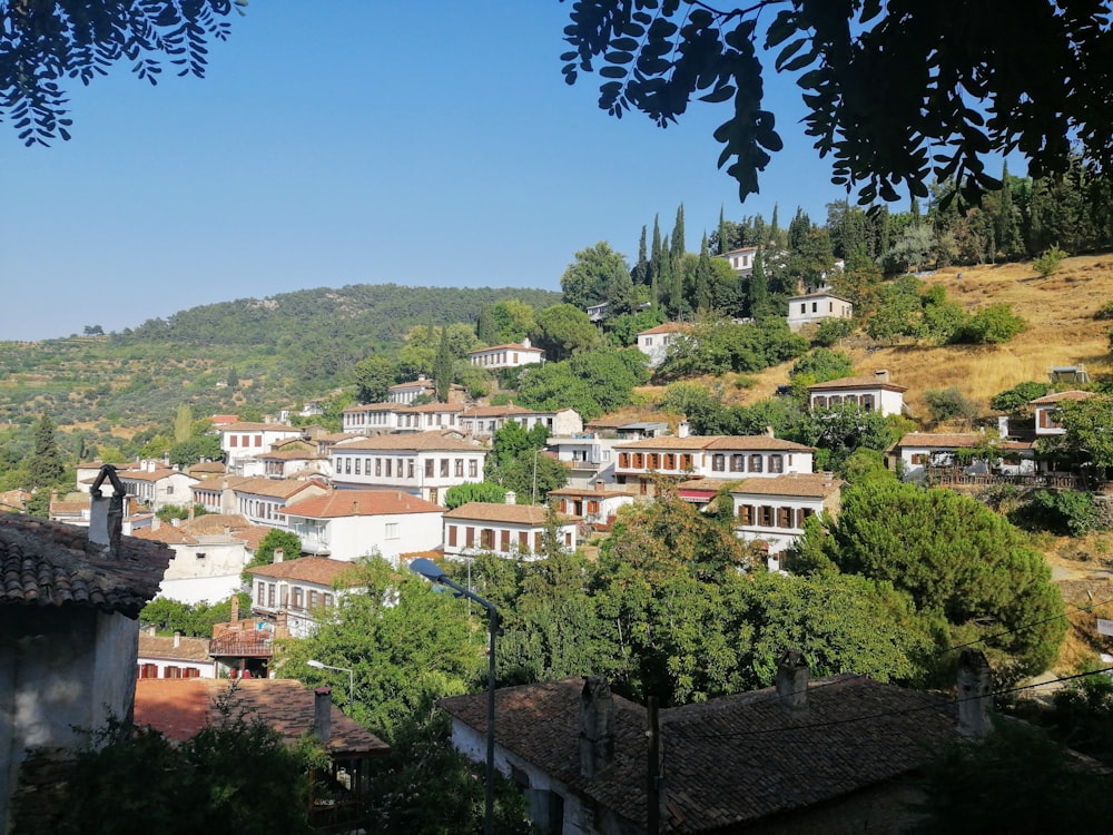 white and brown concrete buildings near green trees under blue sky during daytime