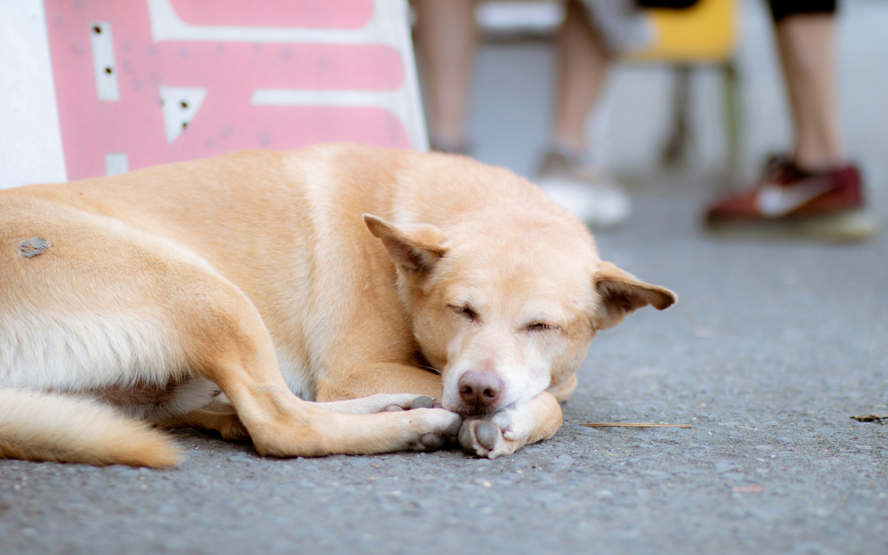 Photo by tsaiwen_hsu