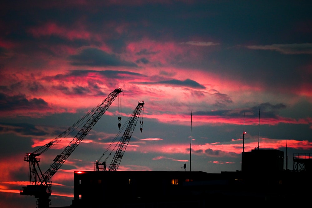 Silhouette de grue au coucher du soleil