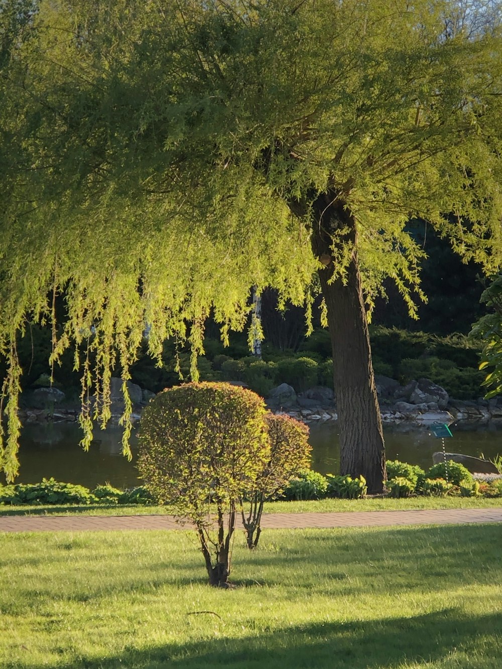 green grass field with trees and river in the distance