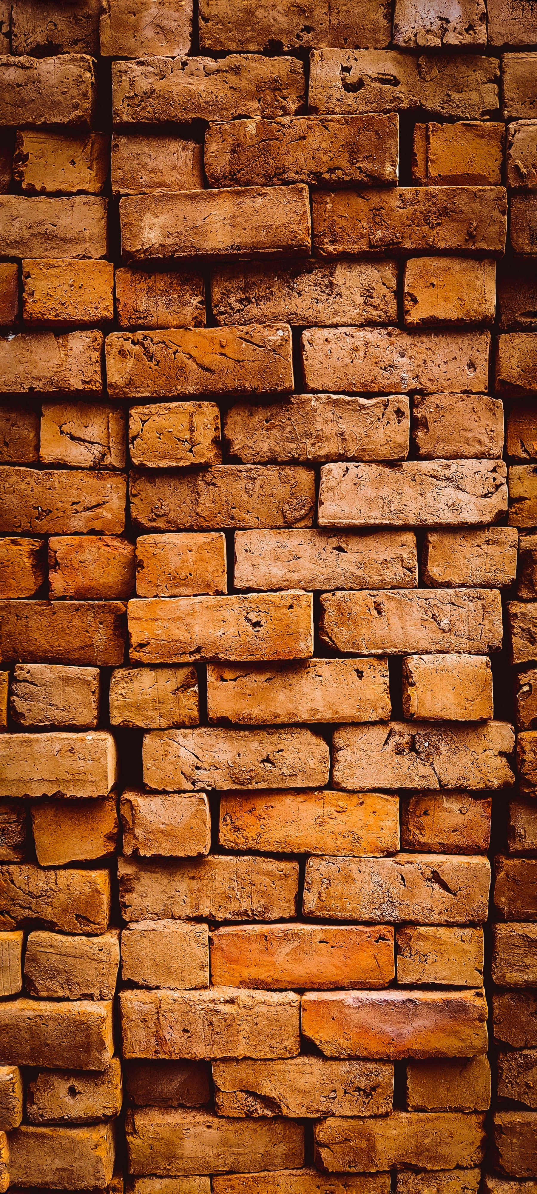 Photo by suryaneghaa