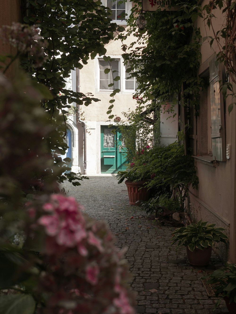 white concrete building with green and pink plants