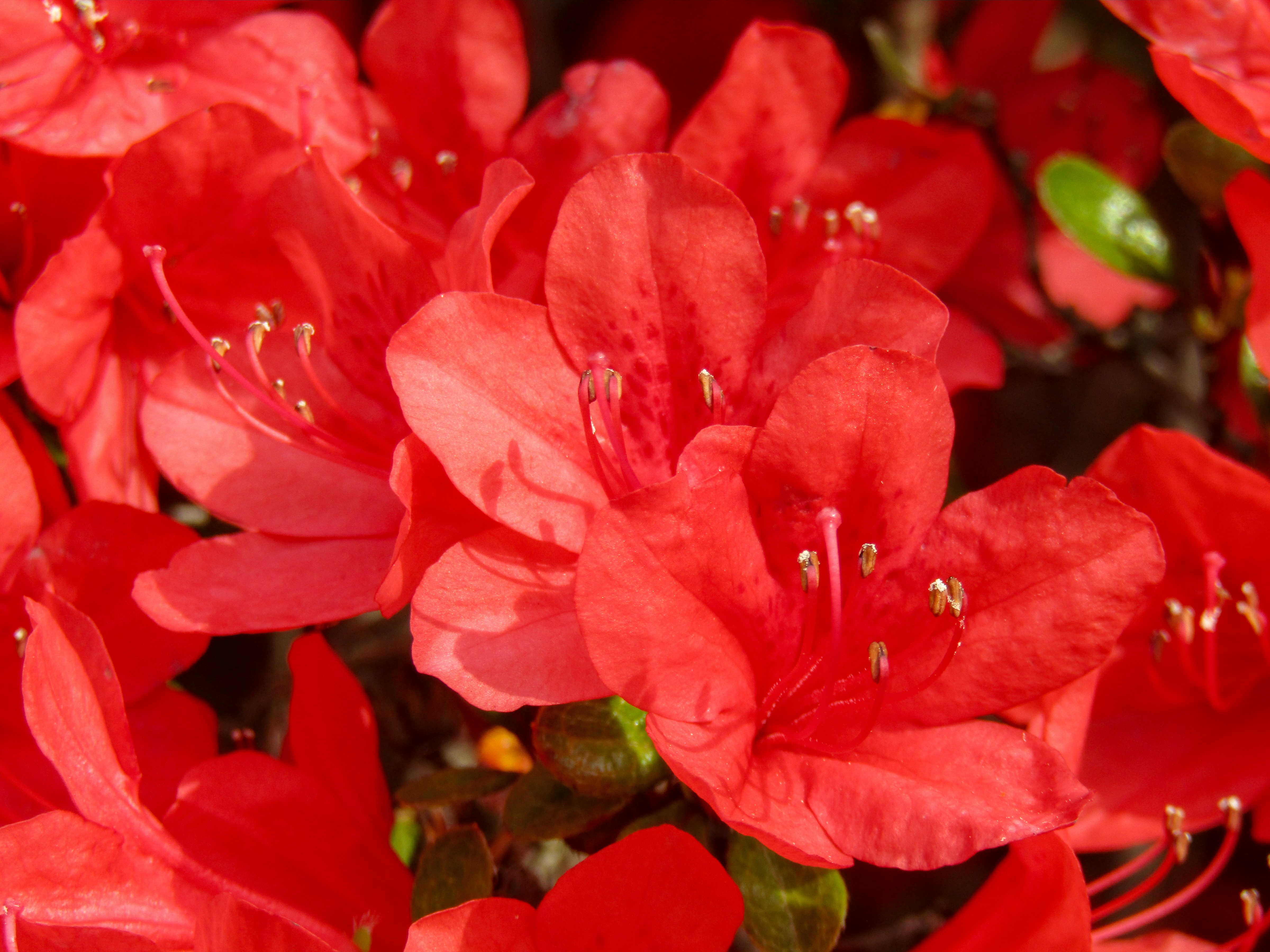 Photo by heppoko_yama